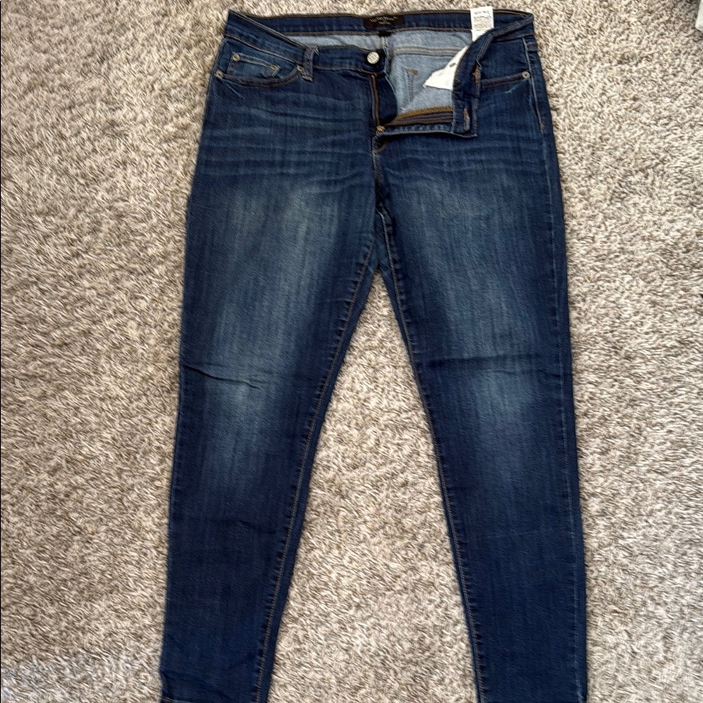 Banana Republic Factory Blue Skinny Jeans